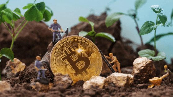 The Environmental Impact of Crypto Mining
